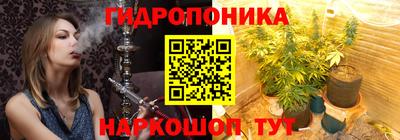a pvp Дмитров