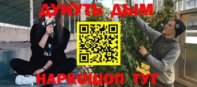 a pvp Дмитров
