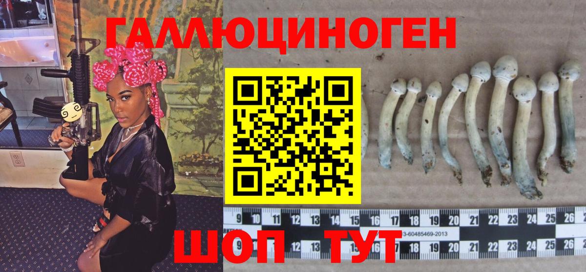 Галлюциногенные грибы Cubensis  Вход с VPN  Галлюциногенные грибы мицелий  Верхняя Пышма 
