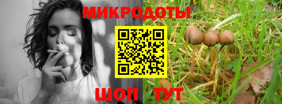 Псилоцибиновые грибы мицелий Верхняя Пышма